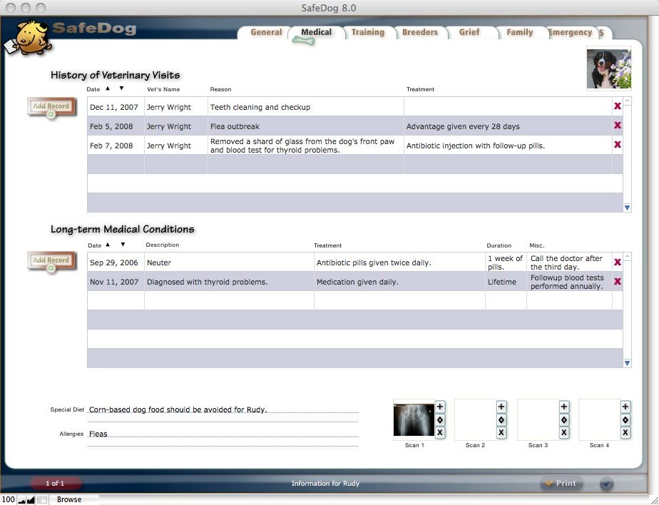 Shot Records For Boarding A Dog Shot Records For Boarding A Dog